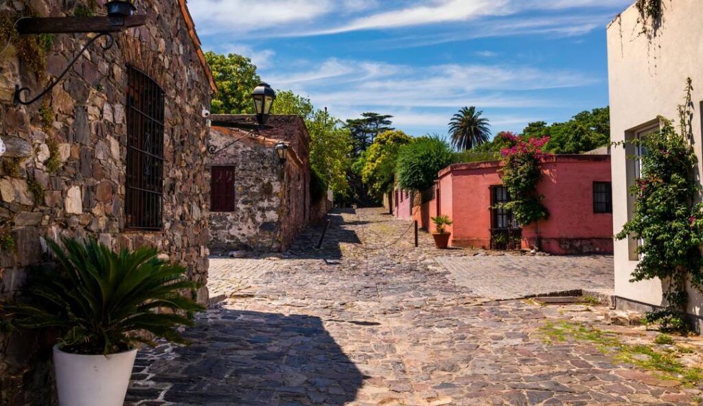 Portada de Colonia